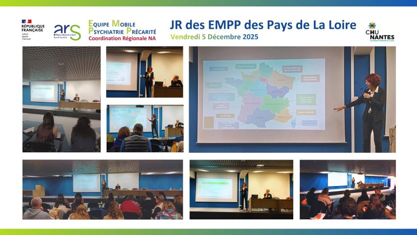 05 12 2025 - JR des EMPP des Pays de la Loire - Collage